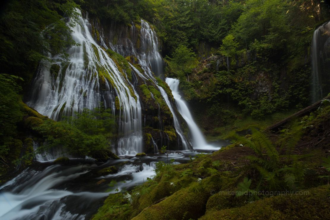 Panther Creek Falls